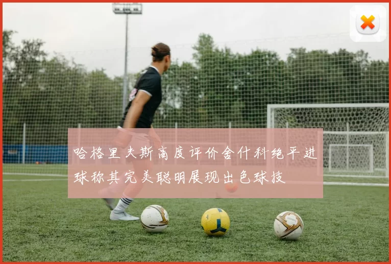 哈格里夫斯高度评价舍什科绝平进球称其完美聪明展现出色球技